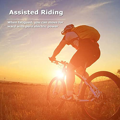 AADECOR Ebike Conversion Kit, 48 V 1000 W Rear Wheel Electric Bicycle Conversion Kit, Electric Motorcycle Kit with Intelligent Control for Road